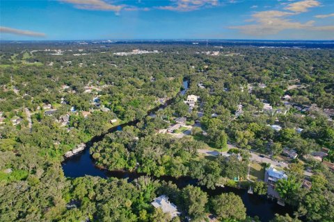 Land in Tampa, Florida № 2386279 - photo 28