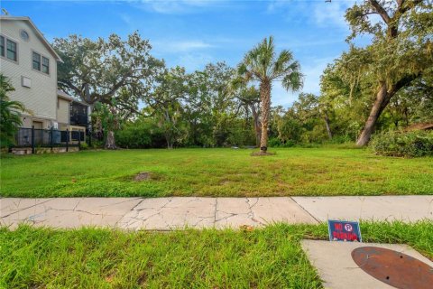 Land in Tampa, Florida № 2386279 - photo 9
