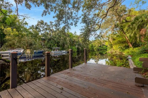 Land in Tampa, Florida № 2386279 - photo 15