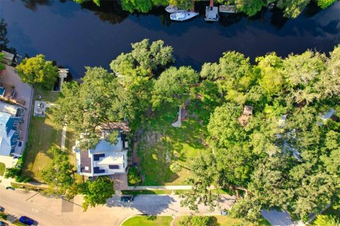 Land in Tampa, Florida № 2386279 - photo 3