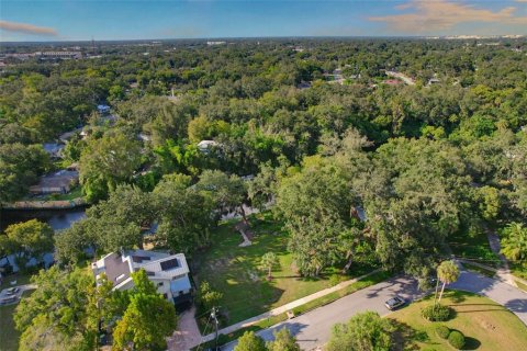 Land in Tampa, Florida № 2386279 - photo 23