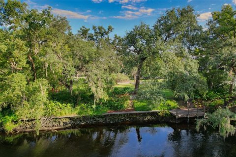 Land in Tampa, Florida № 2386279 - photo 21