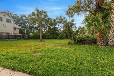 Land in Tampa, Florida № 2386279 - photo 7
