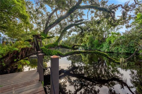 Land in Tampa, Florida № 2386279 - photo 16