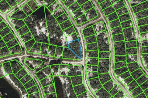 Land in Lake Placid, Florida № 2234962
