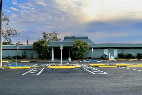 Propiedad comercial en alquiler en Tampa, Florida № 1536300 - foto 2