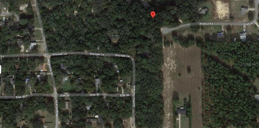 Land in Lady Lake, Florida № 2165319