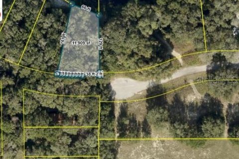 Land in Lady Lake, Florida № 2165319 - photo 2