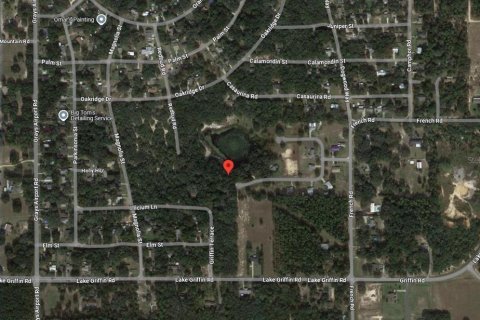 Land in Lady Lake, Florida № 2165319 - photo 3