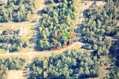 Land in Dunnellon, Florida № 2160962 - photo 2