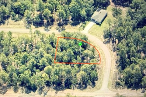 Land in Dunnellon, Florida № 2160962