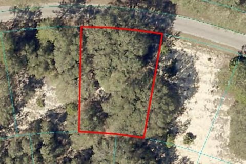 Land in Ocklawaha, Florida № 2165346