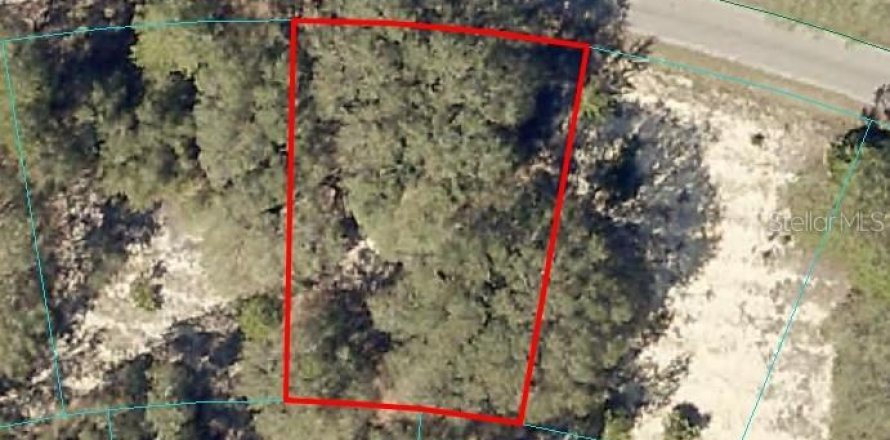 Land in Ocklawaha, Florida № 2165346