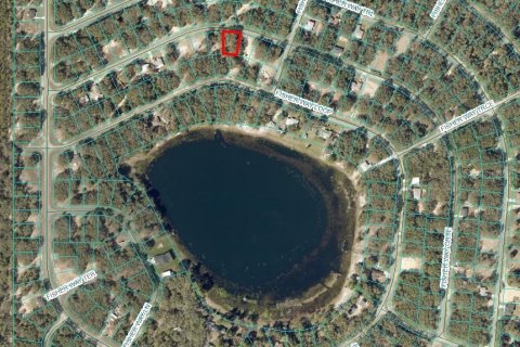 Land in Ocklawaha, Florida № 2165346 - photo 2