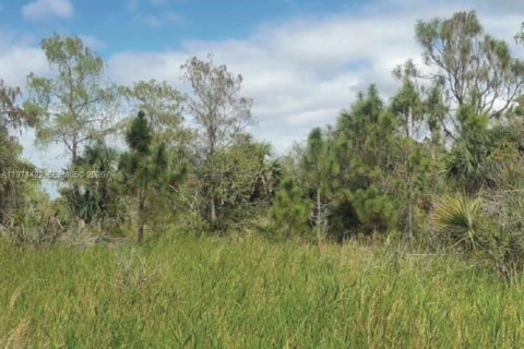 Propiedad comercial en venta en Naples, Florida № 2032012 - foto 2