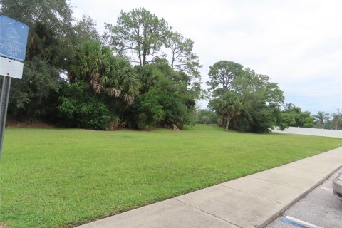 Land in Altamonte Springs, Florida № 262167 - photo 3