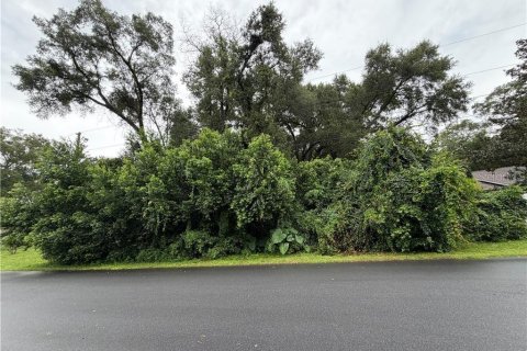 Land in Inverness, Florida № 2341722