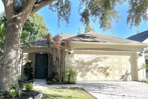 Villa ou maison à Brandon, Floride 3 chambres, 116.5 m2 № 2429309