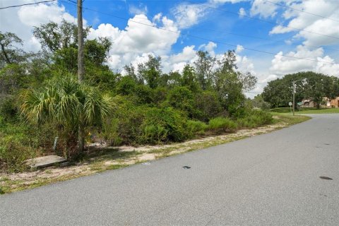 Land in Spring Hill, Florida № 2379216 - photo 11