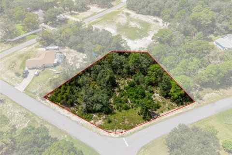 Land in Spring Hill, Florida № 2379216 - photo 3