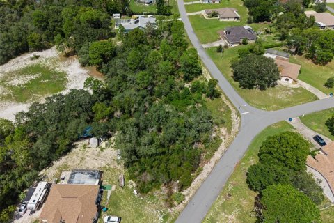 Land in Spring Hill, Florida № 2379216 - photo 6