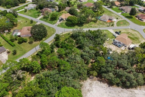 Land in Spring Hill, Florida № 2379216 - photo 8