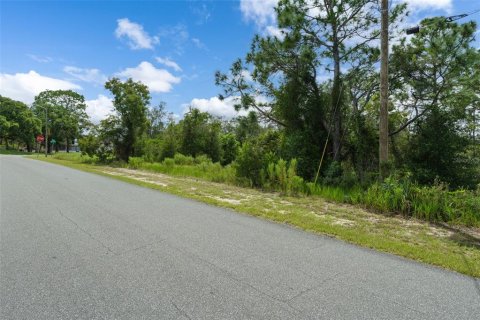 Land in Spring Hill, Florida № 2379216 - photo 10