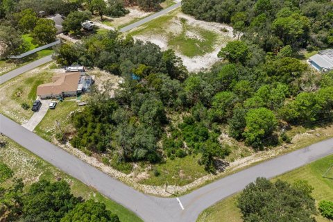 Land in Spring Hill, Florida № 2379216 - photo 4