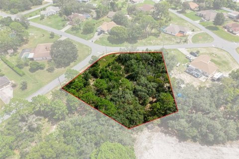 Land in Spring Hill, Florida № 2379216 - photo 7