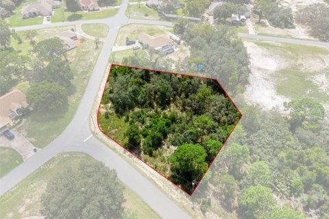 Land in Spring Hill, Florida № 2379216