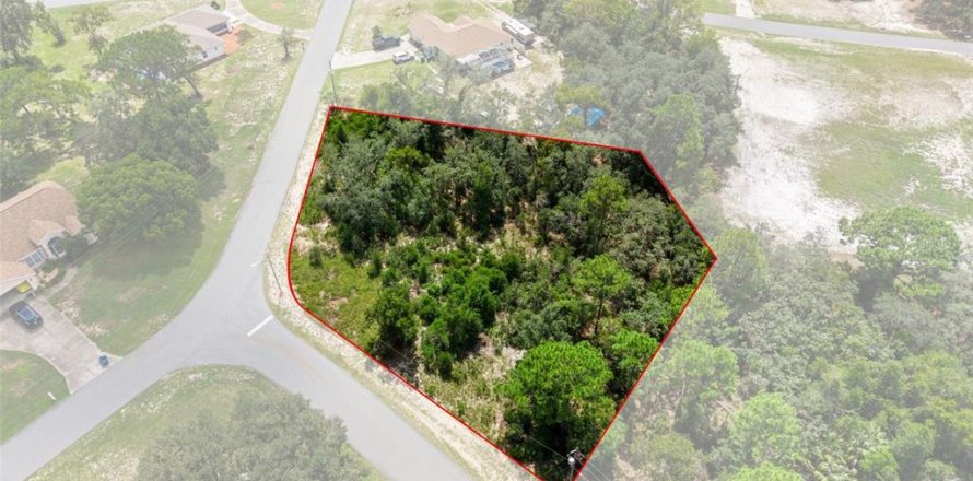 Land in Spring Hill, Florida № 2379216