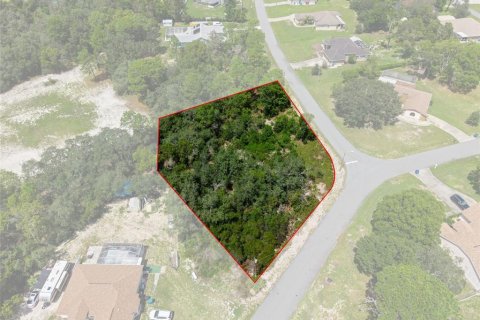 Land in Spring Hill, Florida № 2379216 - photo 5