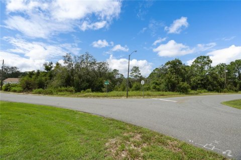 Land in Spring Hill, Florida № 2379216 - photo 9