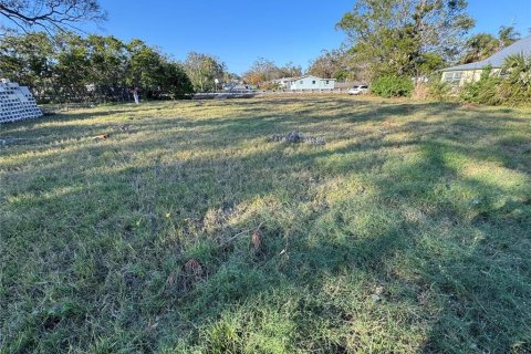 Terreno en venta en Saint Petersburg, Florida № 2097946 - foto 2