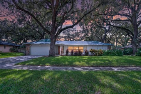 House in Valrico, Florida 4 bedrooms, 228.73 sq.m. № 2391027