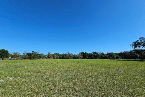 Terrain à vendre à Dade City, Floride № 1718019 - photo 4