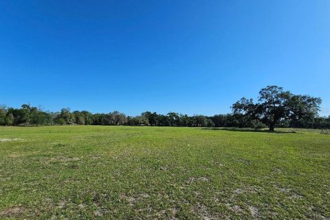 Terrain à vendre à Dade City, Floride № 1718019 - photo 8