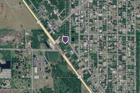 Land in Okeechobee, Florida № 2396288 - photo 3