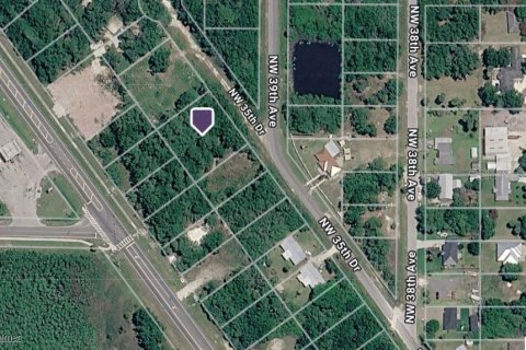 Land in Okeechobee, Florida № 2396288 - photo 2