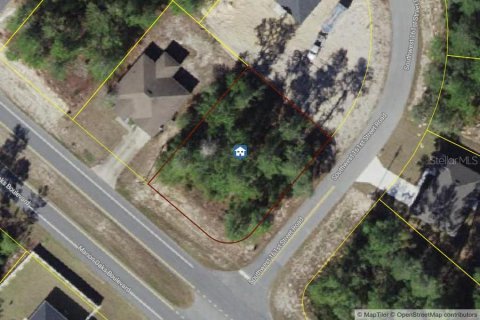 Land in Ocala, Florida № 1573043 - photo 2