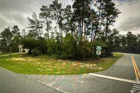 Land in Ocala, Florida № 1573043 - photo 4