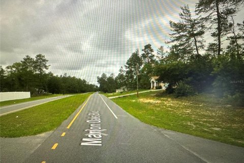 Land in Ocala, Florida № 1573043 - photo 3