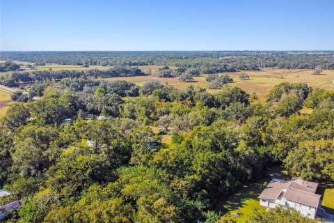 Terreno en venta en Zephyrhills, Florida № 2163855 - foto 18