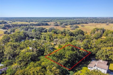 Terreno en venta en Zephyrhills, Florida № 2163855 - foto 29