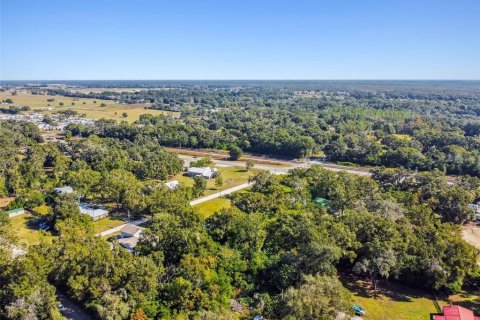 Terreno en venta en Zephyrhills, Florida № 2163855 - foto 13