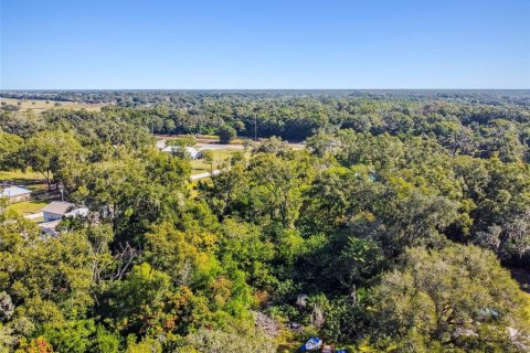 Terreno en venta en Zephyrhills, Florida № 2163855 - foto 3