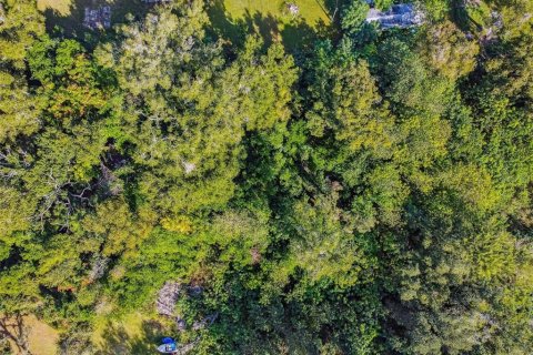 Terreno en venta en Zephyrhills, Florida № 2163855 - foto 5