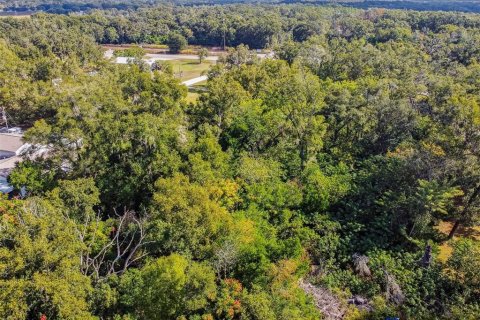 Terreno en venta en Zephyrhills, Florida № 2163855 - foto 26