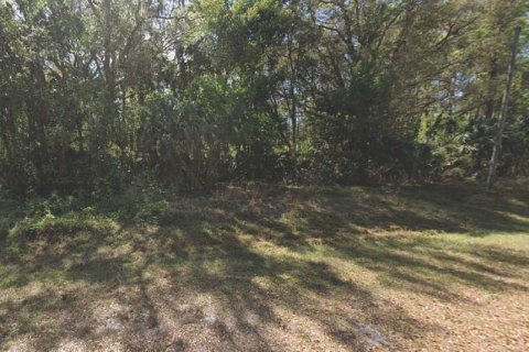 Land in Georgetown, Florida № 2160317