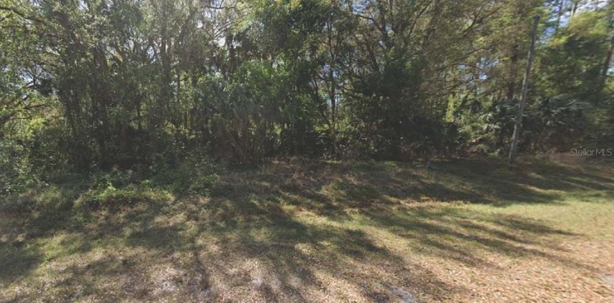 Land in Georgetown, Florida № 2160317